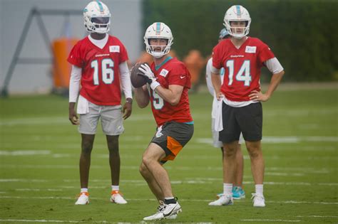 The Dolphins were able to sneak into the 2023 NFL playoffs thanks to their 11-6 win over the Jets and some help from the Bills in Week 18. . Miami dolphins backup quarterback 2023